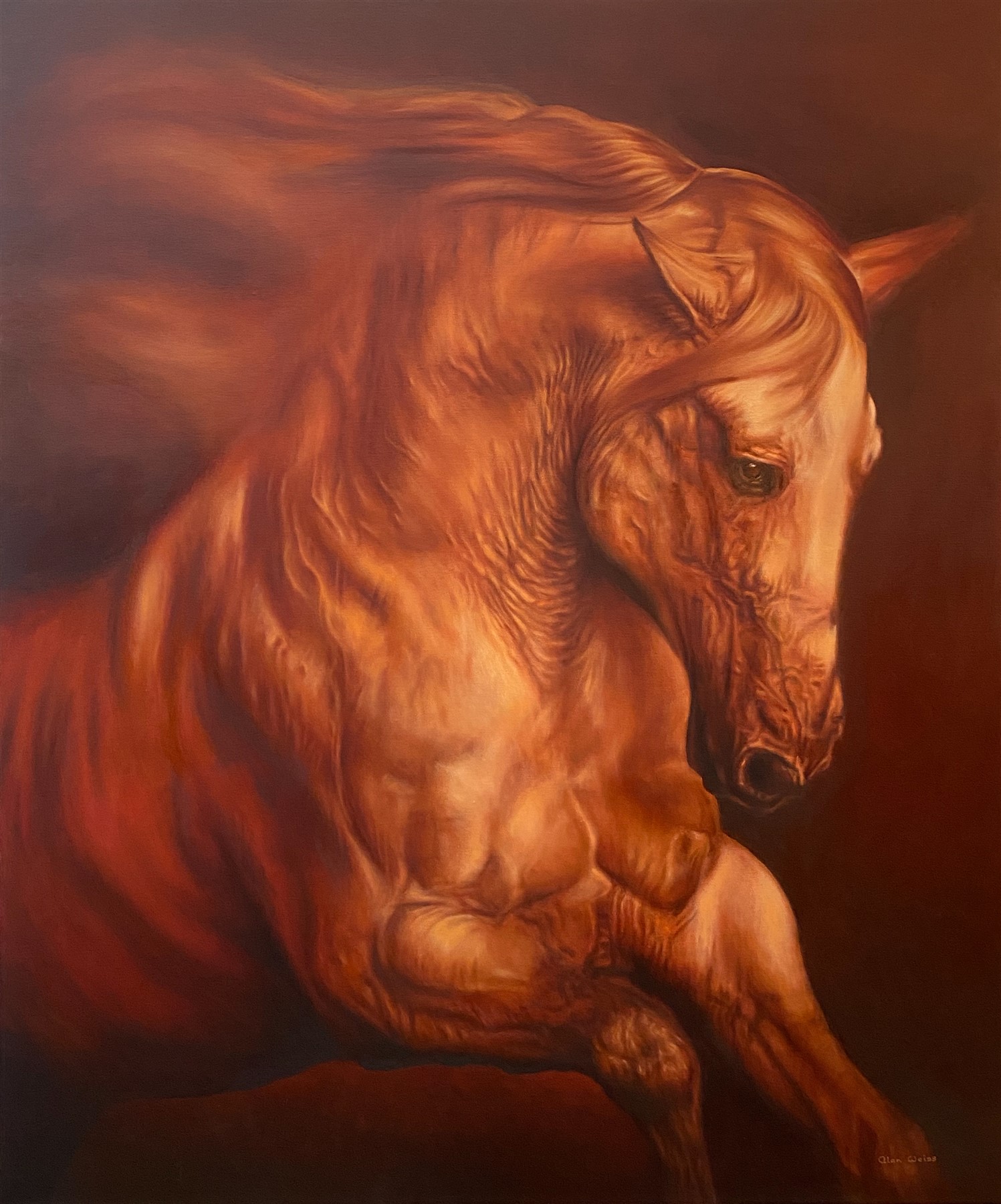Red Stallion (1497 x 1800)